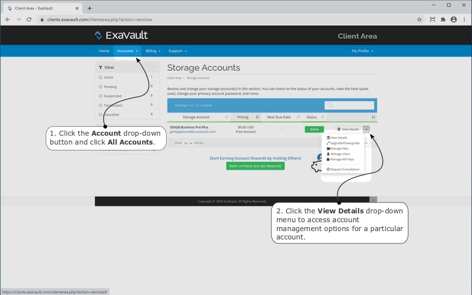 The Accounts Overview page in the ExaVault Client Area.